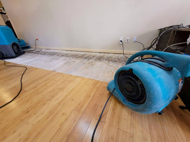 Professional Flood Damage Cleanup technician working in Jackson, TN